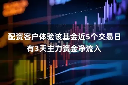 配资客户体验该基金近5个交易日有3天主力资金净流入