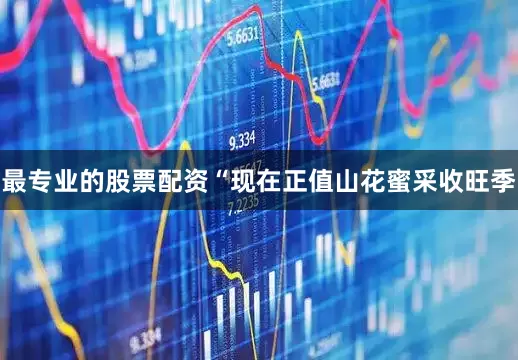 最专业的股票配资“现在正值山花蜜采收旺季