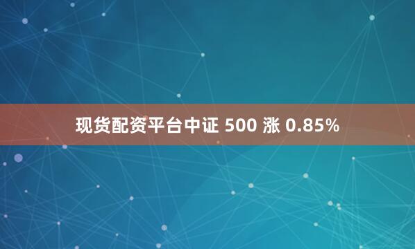 现货配资平台中证 500 涨 0.85%