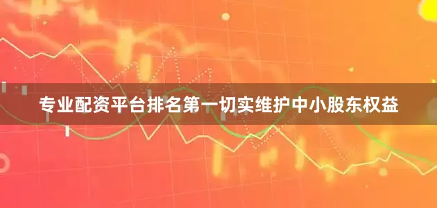 专业配资平台排名第一切实维护中小股东权益