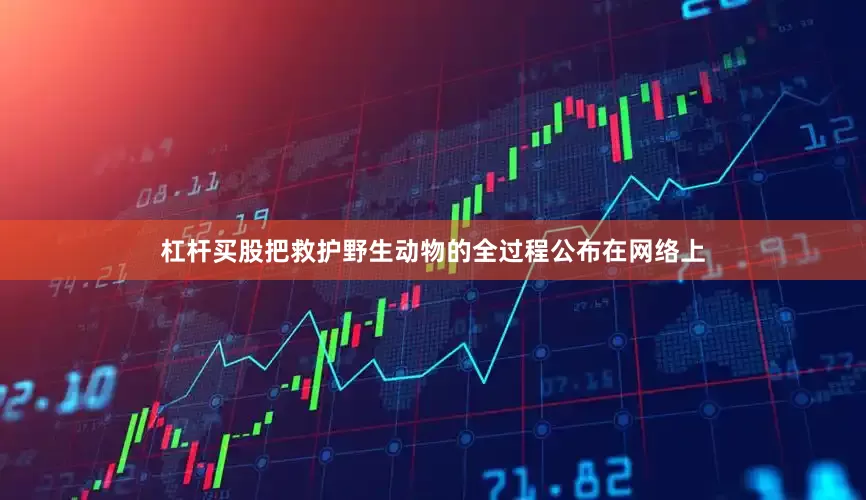 杠杆买股把救护野生动物的全过程公布在网络上